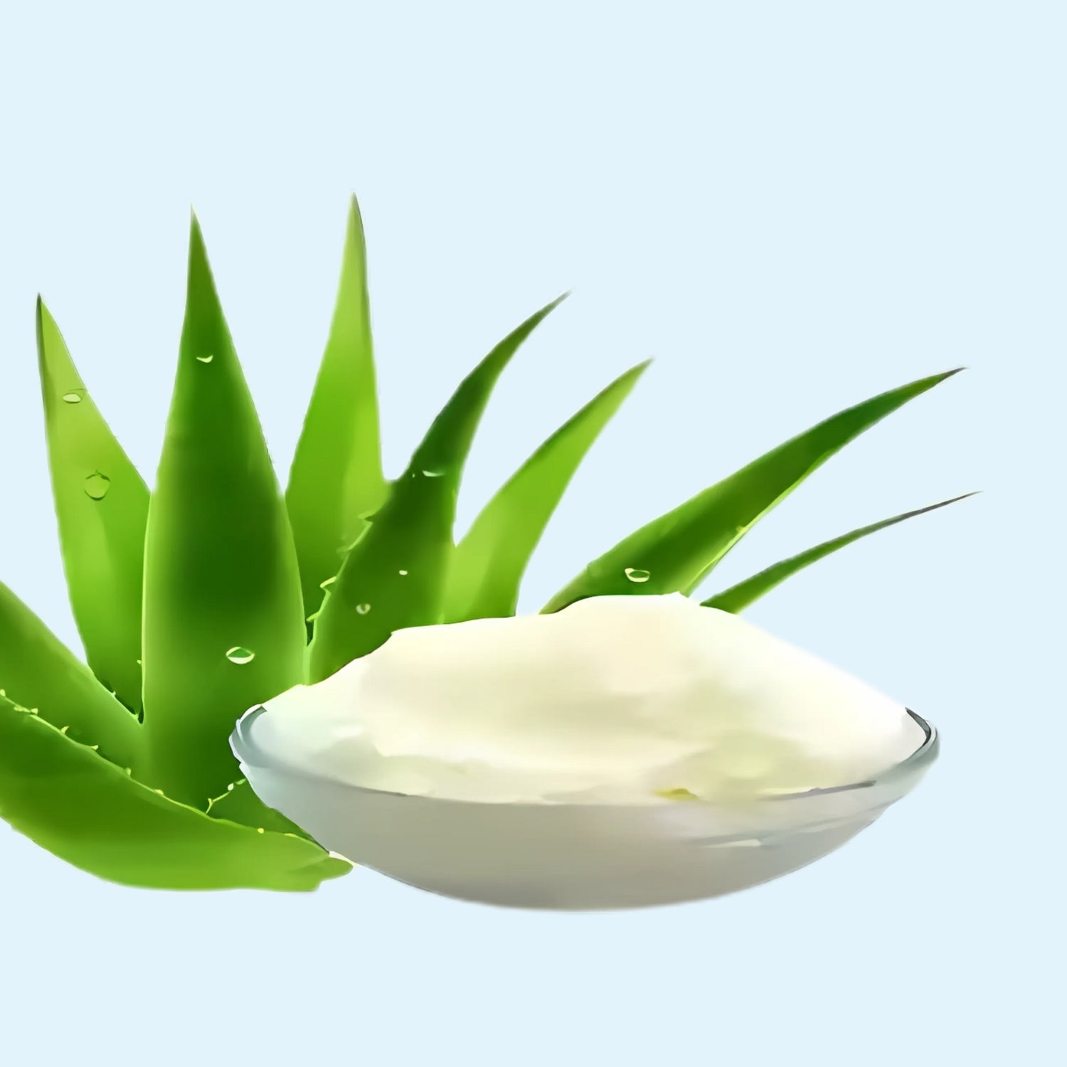 Alovera Butter Alovera Butter